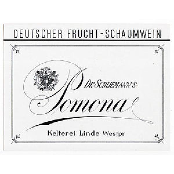LINDE – Lipka Polen POMONA Dr. Schliemann Frucht-Schaumwein Etikett label x0845 #1 image