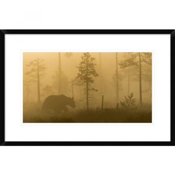 Global Gallery &#039;Morning Fog&#039; by Svein Ove Linde Framed Photographic Print #1 image