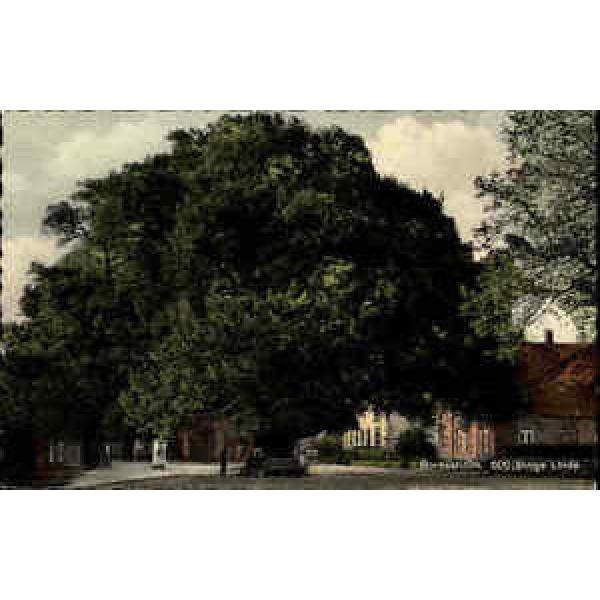 Bordesholm ~1950/60 Partie 600jährige Linde Baum Wahrzeichen Platz Menschen Haus #1 image