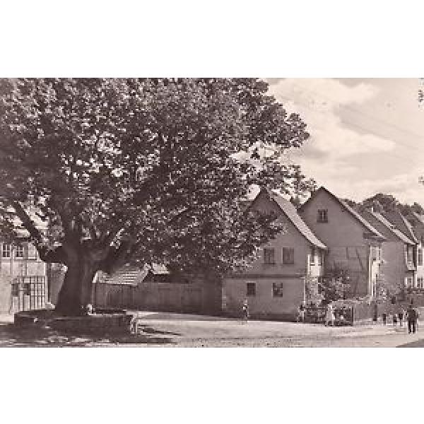 2 AK Kranichfeld Ilm 1960er-Jahre Linde vorm Baumbachhaus Ortsansichten #1 image