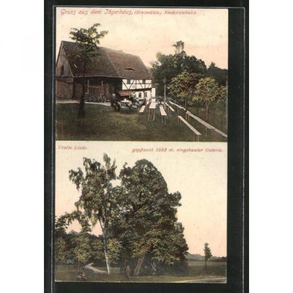 schöne AK Niederzwönitz, Gasthaus Jägerhaus, Bretmühle, Uralte Linde 1909 #1 image