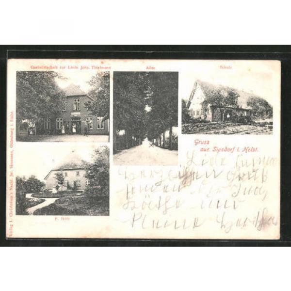 tolle AK Sipsdorf, Gastwirtschaft zur Linde, Allee, Schule, F. Höft 1903 #1 image