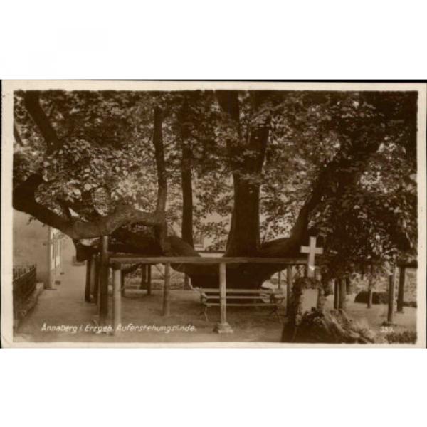 Annaberg Stempel und AK Sachsen Erzgebirge 1927 Auferstehungslinde Linde Baum #1 image