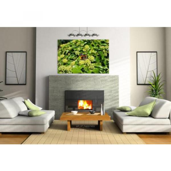 Stunning Poster Wall Art Decor Butterfly Plant Insect Linde 36x24 Inches #3 image