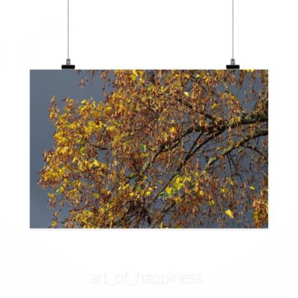 Stunning Poster Wall Art Decor Autumn Autumn Mood Linde Emerge 36x24 Inches #2 image