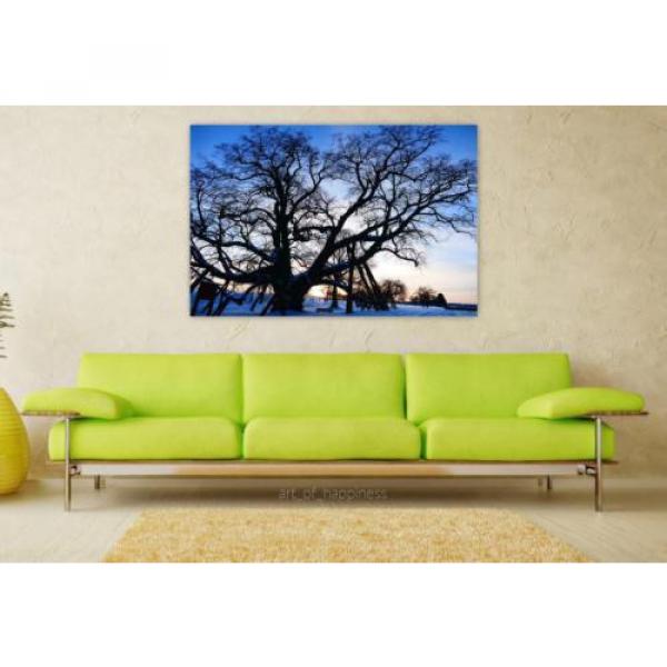 Stunning Poster Wall Art Decor Tree Linde Old Natural Monument 36x24 Inches #1 image