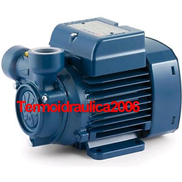 Electric Peripheral Water PQ Pump PQm100 1,5Hp Brass impeller 240 Pedrollo Z1 #1 image