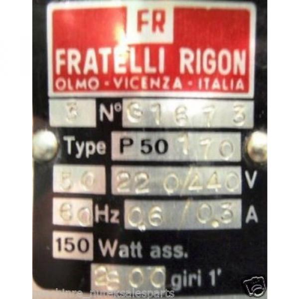 Fratelli Rigon Hydraulic Pump P50170 _ G1673 _ P5O17O _ 220/440V _ 0.6/0.3A #2 image