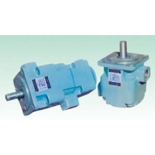 YB1 Series fixed displacement pump #1 image