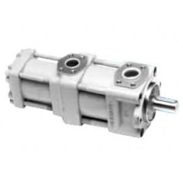 QT4323-20-6.3F Russia QT Series Double Gear Pump #1 image