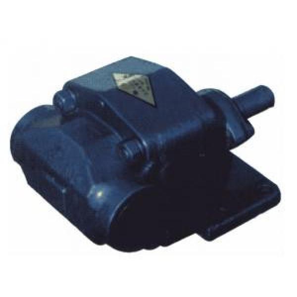 BCB Egypt Series Gear Oil Pump BCB-100/1.6 #1 image