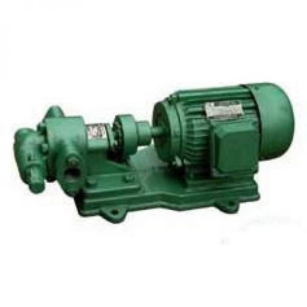 KCB/2CY India Series Gear Pumps #1 image