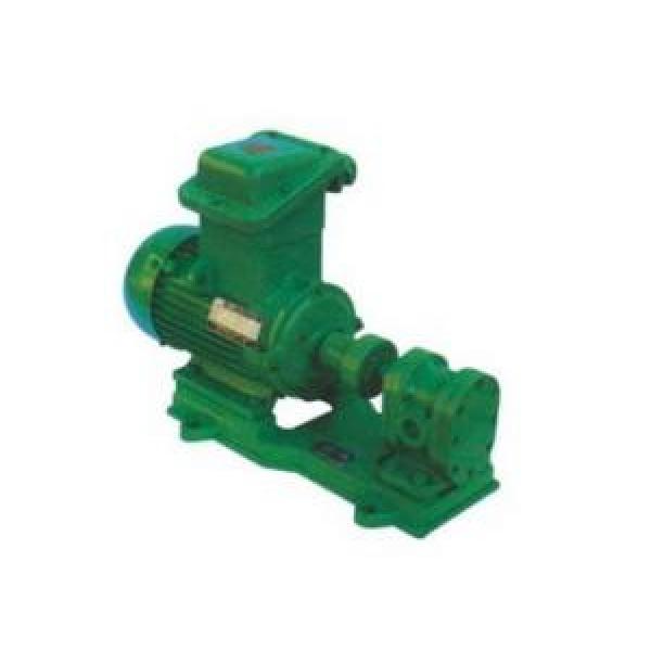 2CY/KCB seriel Chemical Gear Pump for Oil Industrial #1 image