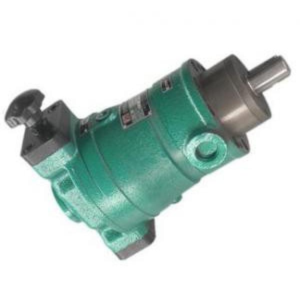 16SCY14-1B  axial plunger pump #1 image