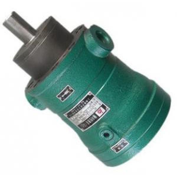 16MCY14-1B  fixed displacement piston pump #1 image