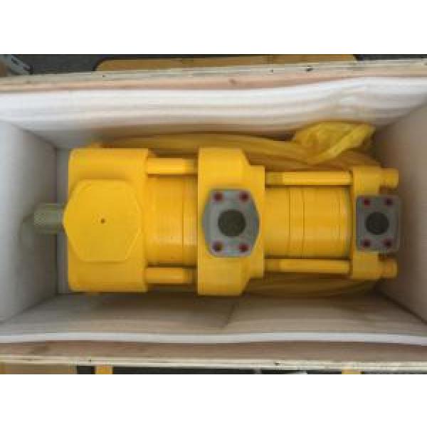 Sumitomo QT6253-100-63F Double Gear Pump #1 image