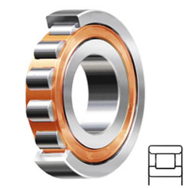 FAG BEARING N205-E-TVP2-C3 Cylindrical Roller Bearings #1 image