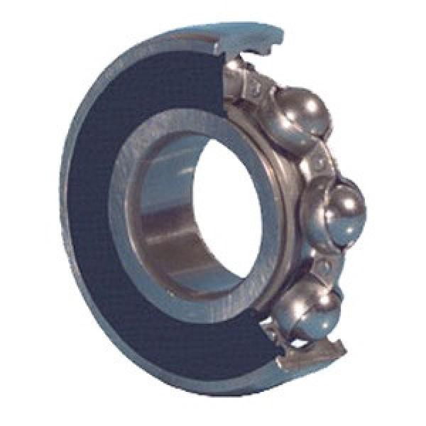 SKF 6007-RS1 Single Row Ball Bearings #1 image