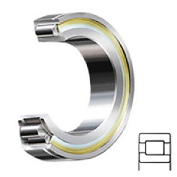 SKF NJG 2308 VH Cylindrical Roller Bearings #1 image