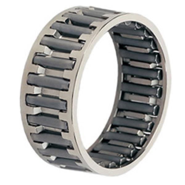 INA C091110A Needle Non Thrust Roller Bearings #1 image