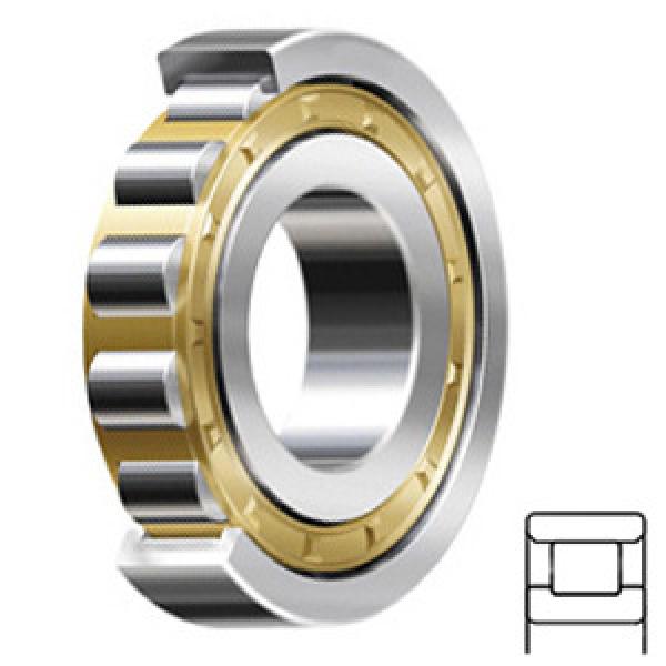 FAG BEARING N205-E-M1 Cylindrical Roller Bearings #1 image