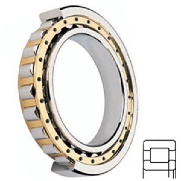 NSK NUP224M Cylindrical Roller Bearings #1 image