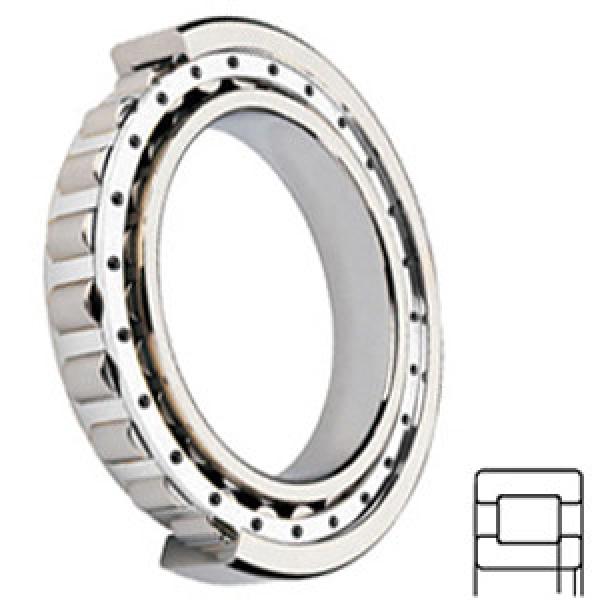 FAG BEARING NUP407 Cylindrical Roller Bearings #1 image