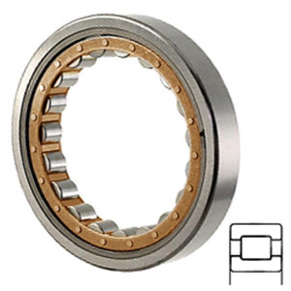 SKF RNU 2319 ECML Cylindrical Roller Bearings #1 image