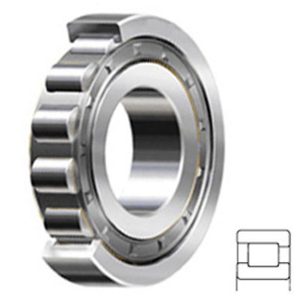 NSK NF310W Cylindrical Roller Bearings #1 image