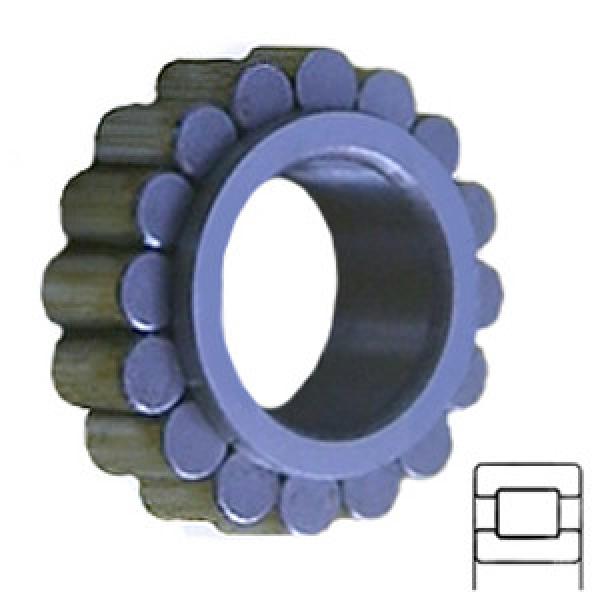 INA RSL183010 Cylindrical Roller s #1 image