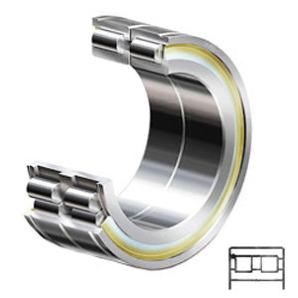 INA SL184838 Cylindrical Roller Bearings #1 image