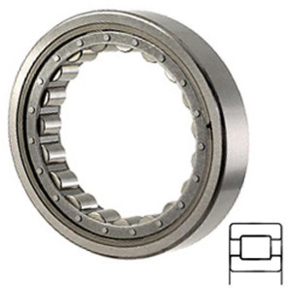 NTN M1212EL Cylindrical Roller Thrust Bearings #1 image