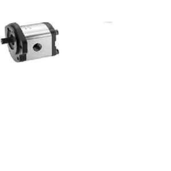 Bosch Rexroth External Gear pumps ,Type AZPF-10-016RQR-12MB #1 image