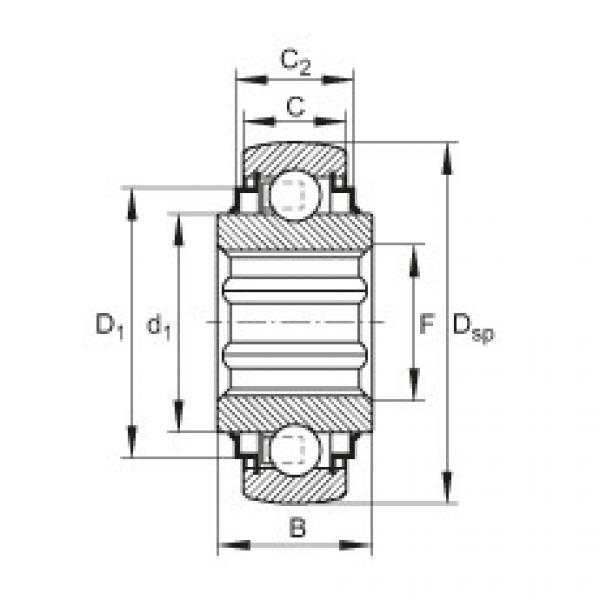 FAG Self-aligning deep groove ball bearings - SK108-209-KRR-B-L402/70-AH11 #1 image