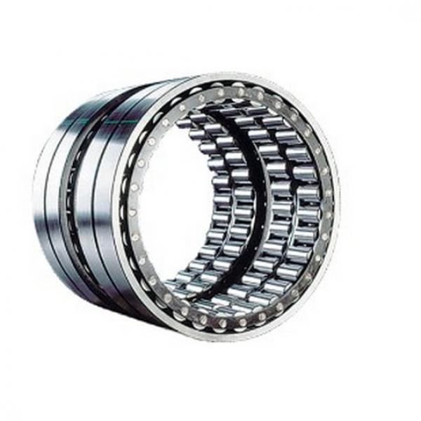 NUP313-4 7602-0211-09 Cylindrical Roller Bearing 65x150x33mm #1 image