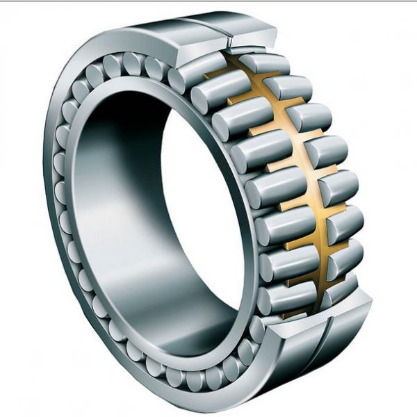 12212E 7602-0212-88 Cylindrical Roller Bearing 60x110x22mm #1 image