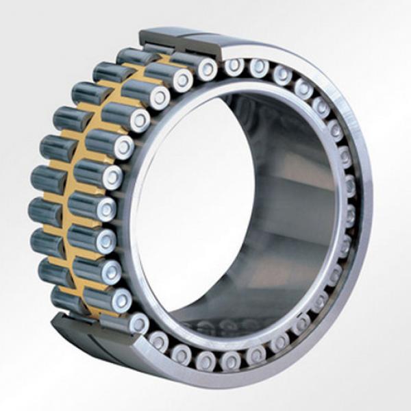 NUPK313-4NRC3 7602-0213-06 Cylindrical Roller Bearing 65x150x33mm #4 image